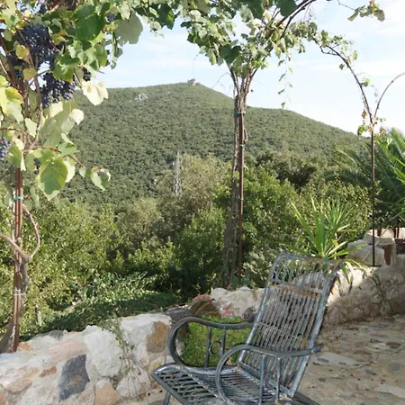 Casa Del Gatto