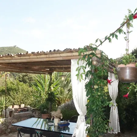 Casa Del Gatto Tatil Evi